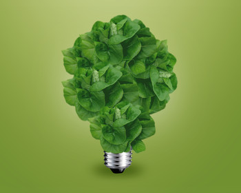 Light bulb with plant instead of bulb