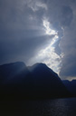 Surviving the College Graduate Employment Perfect Storm