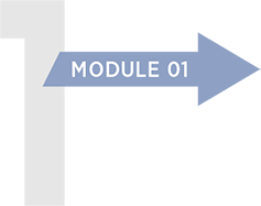 Module 1