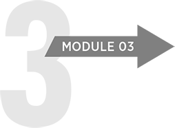 Module 3