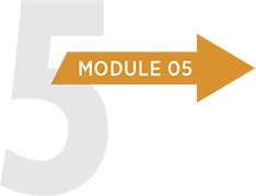 Module 5